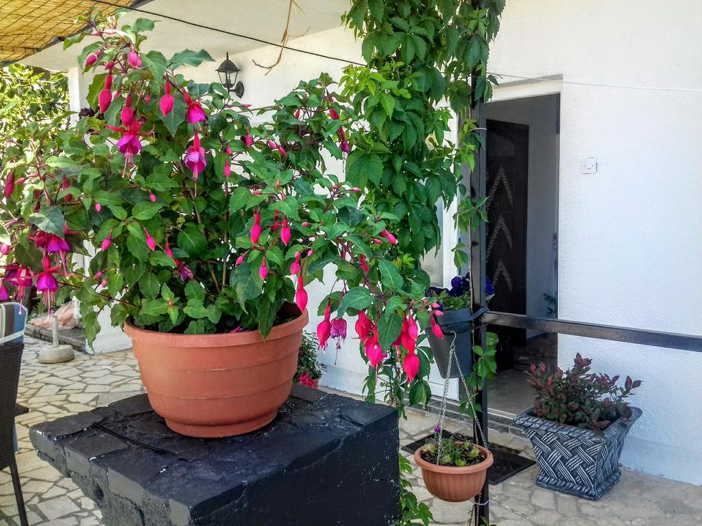 Apartment Little Princess Dora Senj  Dış mekan fotoğraf
