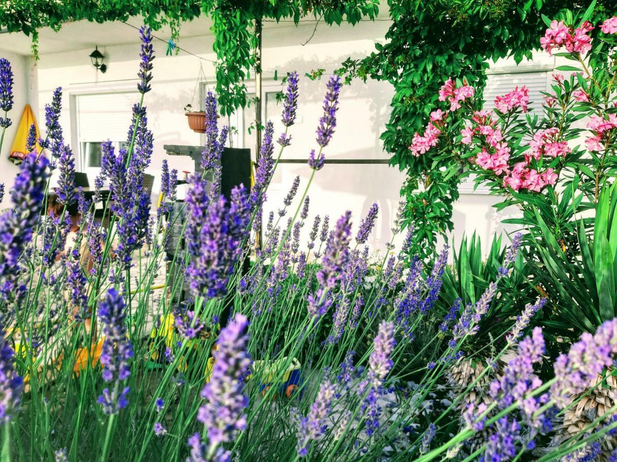 Apartment Little Princess Dora Senj  Dış mekan fotoğraf